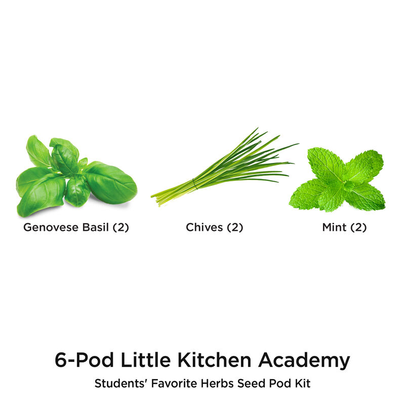 Little Kitchen Academy Students’ Favorite Herbs image number null